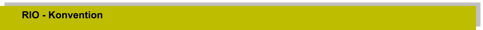 RIO - Konvention