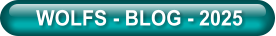 WOLFS - BLOG - 2025